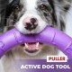 PULLER Midi Interactive Dog Toy Fitness Tool Set PULLER Midi Interactive Dog Toy Fitness Tool Set