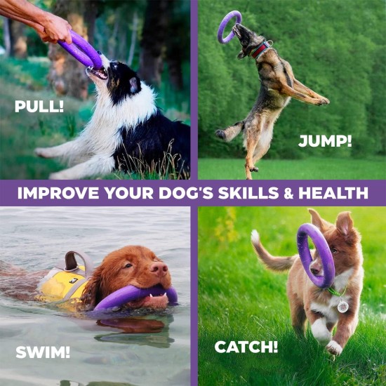PULLER Midi Interactive Dog Toy Fitness Tool Set PULLER Midi Interactive Dog Toy Fitness Tool Set