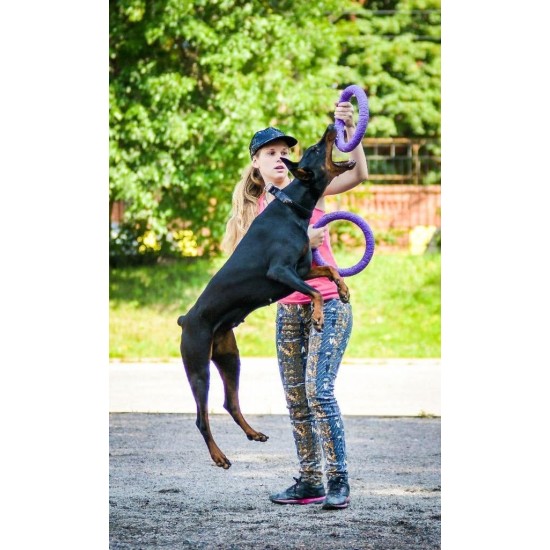 PULLER Standard Interactive Dog Toy Fitness Tool Set PULLER Standard Interactive Dog Toy Fitness Tool Set