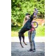 PULLER Standard Interactive Dog Toy Fitness Tool Set PULLER Standard Interactive Dog Toy Fitness Tool Set