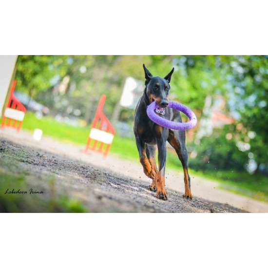 PULLER Standard Interactive Dog Toy Fitness Tool Set PULLER Standard Interactive Dog Toy Fitness Tool Set