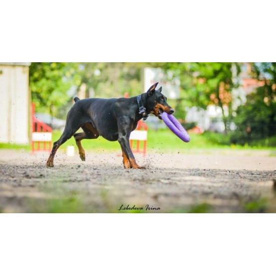 PULLER Standard Interactive Dog Toy Fitness Tool Set PULLER Standard Interactive Dog Toy Fitness Tool Set