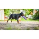 PULLER Standard Interactive Dog Toy Fitness Tool Set PULLER Standard Interactive Dog Toy Fitness Tool Set