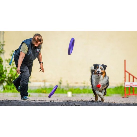 PULLER Standard Interactive Dog Toy Fitness Tool Set PULLER Standard Interactive Dog Toy Fitness Tool Set