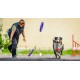 PULLER Standard Interactive Dog Toy Fitness Tool Set PULLER Standard Interactive Dog Toy Fitness Tool Set