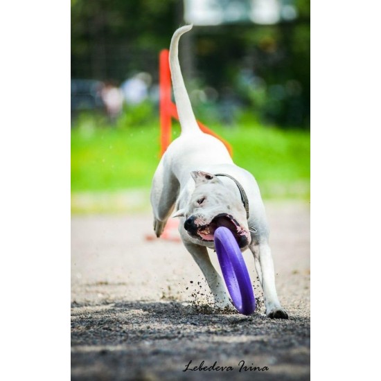 PULLER Standard Interactive Dog Toy Fitness Tool Set PULLER Standard Interactive Dog Toy Fitness Tool Set