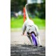 PULLER Standard Interactive Dog Toy Fitness Tool Set PULLER Standard Interactive Dog Toy Fitness Tool Set