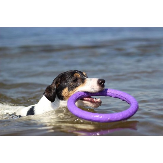 PULLER Standard Interactive Dog Toy Fitness Tool Set PULLER Standard Interactive Dog Toy Fitness Tool Set