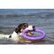 PULLER Standard Interactive Dog Toy Fitness Tool Set PULLER Standard Interactive Dog Toy Fitness Tool Set