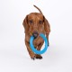Pack Sky Rings Medium | Set of Toys for Dogs | Disc and Multifunctional Rings | Flavored Natural Rubber | Active and Healthy Play | Ideal for Medium and Small Breeds Pack Sky Rings Medium | Set of Toys for Dogs | Disc and Multifunctional Rings | Flavored Natural Rubber | Active and Healthy Play | Ideal for Medium and Small Breeds
