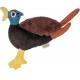 PetLove Hunt & Squeak Pheasant, Multi Textured, Fetch & Fetch Plush, Dog & Puppy Toy with Hidden Squeaker and Crinkle Paper PetLove Hunt & Squeak Pheasant, Multi Textured, Fetch & Fetch Plush, Dog & Puppy Toy with Hidden Squeaker and Crinkle Paper