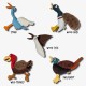 PetLove Hunt & Squeak Turkey, Multi Textured, Fetch & Fetch Plush, Dog & Puppy Toy with Hidden Squeaker and Crinkle Paper