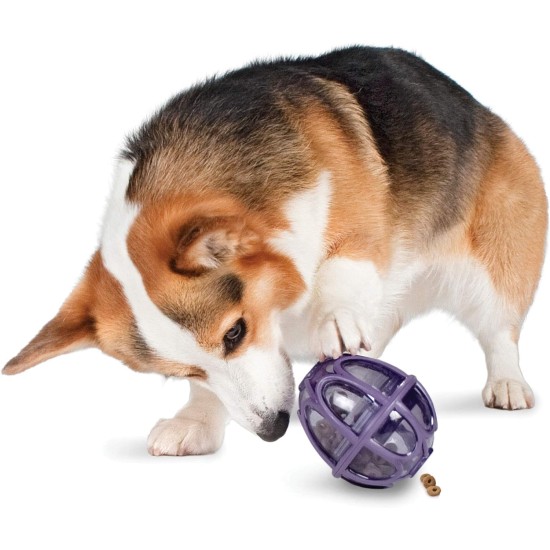 PetSafe Busy Buddy Kibble Nibble Meal Dispensing Dog Toy, Small PetSafe Busy Buddy Kibble Nibble Meal Dispensing Dog Toy, Small