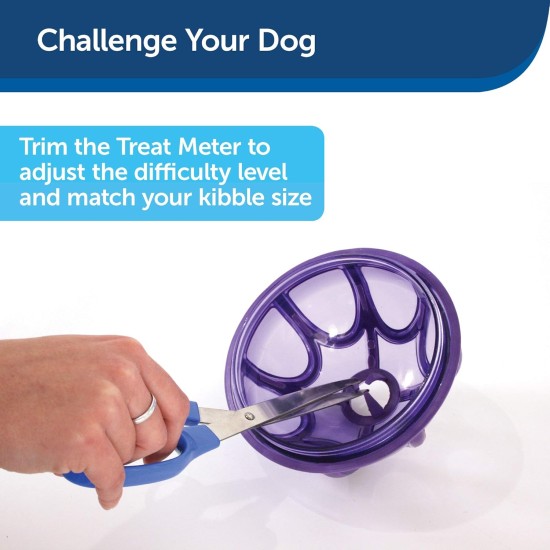 PetSafe Busy Buddy Kibble Nibble Meal Dispensing Dog Toy, Small PetSafe Busy Buddy Kibble Nibble Meal Dispensing Dog Toy, Small