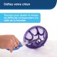 PetSafe Busy Buddy Kibble Nibble S, Interactive Meal Dispensing Dog Toy, Feeder Ball for Small Dogs