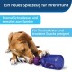 PetSafe Busy Buddy Tug-A-Jug S, Interactive Meal Dispensing Dog Toy, Small Dogs