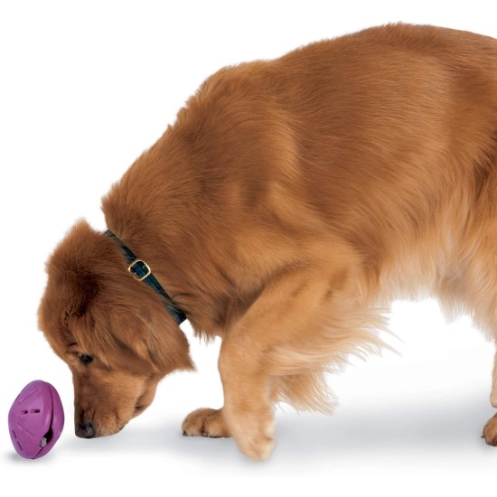 PetSafe Busy Buddy Twist 'n Treat Dog Toy, Large, All Breed Sizes