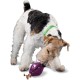 PetSafe Busy Buddy Twist 'n Treat, Large PetSafe Busy Buddy Twist 'n Treat, Large