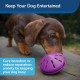 PetSafe Busy Buddy Twist 'n Treat, Large PetSafe Busy Buddy Twist 'n Treat, Large