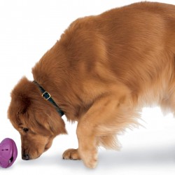 PetSafe Busy Buddy Twist 'n Treat, Large PetSafe Busy Buddy Twist 'n Treat, Large