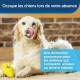 PetSafe Freezer Penguin Freezer Snack Toy for Dogs, Activity and Weight Control, Small, Blue PetSafe Freezer Penguin Freezer Snack Toy for Dogs, Activity and Weight Control, Small, Blue