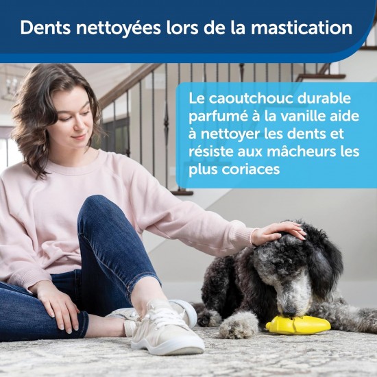 PetSafe Freezer Penguin Freezer Snack Toy for Dogs, Activity and Weight Control, Small, Blue PetSafe Freezer Penguin Freezer Snack Toy for Dogs, Activity and Weight Control, Small, Blue