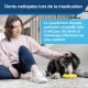 PetSafe Freezer Penguin Freezer Snack Toy for Dogs, Activity and Weight Control, Small, Blue PetSafe Freezer Penguin Freezer Snack Toy for Dogs, Activity and Weight Control, Small, Blue