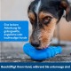 PetSafe Freezer Penguin Freezer Snack Toy for Dogs, Activity and Weight Control, Small, Blue PetSafe Freezer Penguin Freezer Snack Toy for Dogs, Activity and Weight Control, Small, Blue