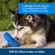 PetSafe Freezer Penguin Freezer Snack Toy for Dogs, Activity and Weight Control, Small, Blue PetSafe Freezer Penguin Freezer Snack Toy for Dogs, Activity and Weight Control, Small, Blue