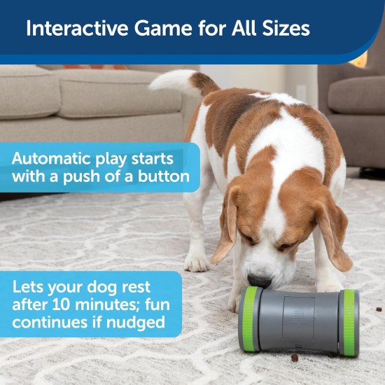 PetSafe Kibble Chase Self-Moving Reward Toy, Rolling Snack Dispenser for Dogs, 3 AA Batteries Required, 1 Piece (Pack of 1) PetSafe Kibble Chase Self-Moving Reward Toy, Rolling Snack Dispenser for Dogs, 3 AA Batteries Required, 1 Piece (Pack of 1)