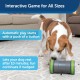 PetSafe Kibble Chase Self-Moving Reward Toy, Rolling Snack Dispenser for Dogs, 3 AA Batteries Required, 1 Piece (Pack of 1)