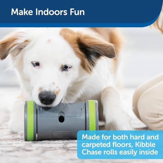 PetSafe Kibble Chase Self-Moving Reward Toy, Rolling Snack Dispenser for Dogs, 3 AA Batteries Required, 1 Piece (Pack of 1) PetSafe Kibble Chase Self-Moving Reward Toy, Rolling Snack Dispenser for Dogs, 3 AA Batteries Required, 1 Piece (Pack of 1)