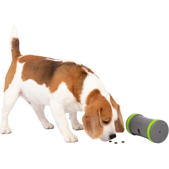 PetSafe Ricochet 2 Pcs Electronic Dog Toys with Sound Signal 3 AAA Batteries Required PetSafe Ricochet 2 Pcs Electronic Dog Toys with Sound Signal 3 AAA Batteries Required