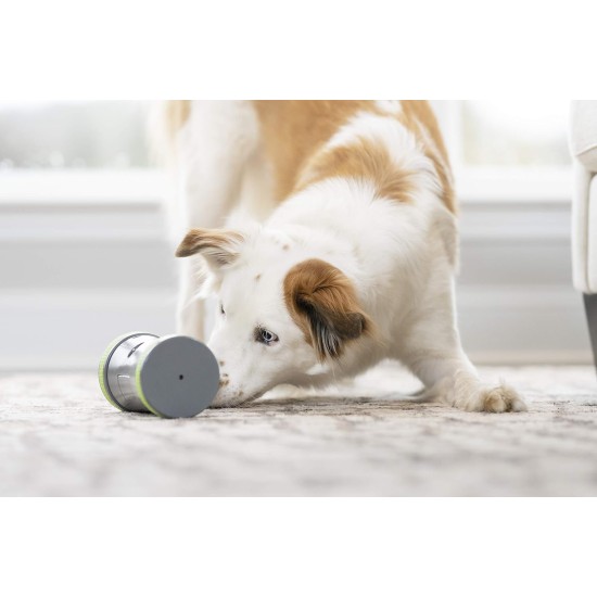 PetSafe Ricochet 2 Pcs Electronic Dog Toys with Sound Signal 3 AAA Batteries Required PetSafe Ricochet 2 Pcs Electronic Dog Toys with Sound Signal 3 AAA Batteries Required