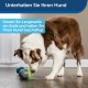 PetSafe Ricochet 2 Pcs Electronic Dog Toys with Sound Signal 3 AAA Batteries Required PetSafe Ricochet 2 Pcs Electronic Dog Toys with Sound Signal 3 AAA Batteries Required