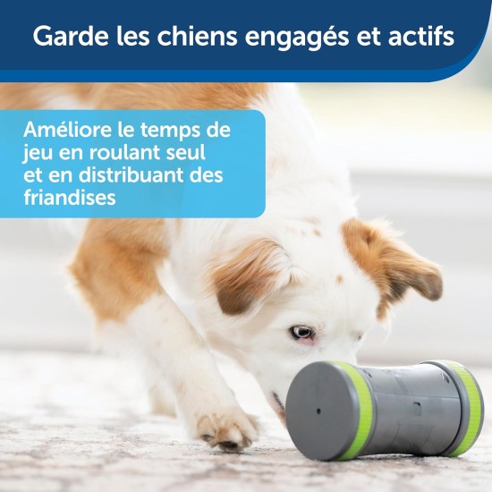 PetSafe Ricochet Electronic Dog Toys 2 Pcs Sound Sound Hunting Toys 3 AAA Batteries Required PetSafe Ricochet Electronic Dog Toys 2 Pcs Sound Sound Hunting Toys 3 AAA Batteries Required