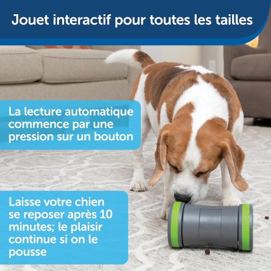 PetSafe Ricochet Electronic Dog Toys 2 Pcs Sound Sound Hunting Toys 3 AAA Batteries Required PetSafe Ricochet Electronic Dog Toys 2 Pcs Sound Sound Hunting Toys 3 AAA Batteries Required