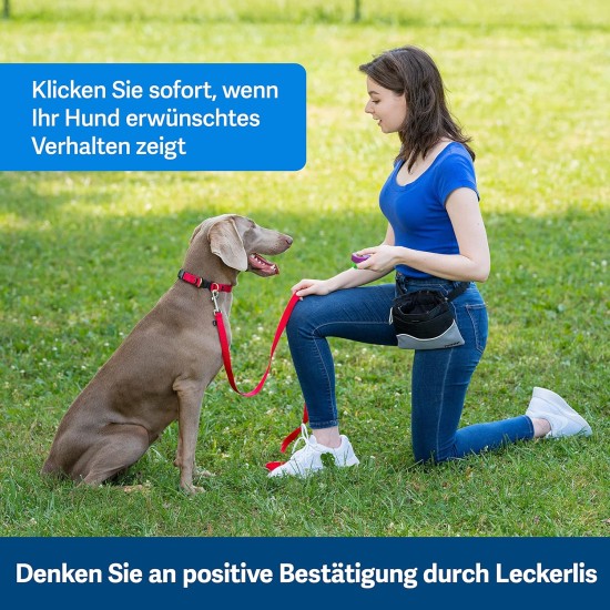 PetSafe Teach and Treat Remote Control Dog Reward Trainer Training and Positive Reinforcement 4D Batteries Required Grey PetSafe Teach and Treat Remote Control Dog Reward Trainer Training and Positive Reinforcement 4D Batteries Required Grey