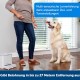 PetSafe Teach and Treat Remote Control Dog Reward Trainer Training and Positive Reinforcement 4D Batteries Required Grey PetSafe Teach and Treat Remote Control Dog Reward Trainer Training and Positive Reinforcement 4D Batteries Required Grey
