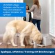 PetSafe Teach and Treat Remote Control Dog Reward Trainer Training and Positive Reinforcement 4D Batteries Required Grey PetSafe Teach and Treat Remote Control Dog Reward Trainer Training and Positive Reinforcement 4D Batteries Required Grey