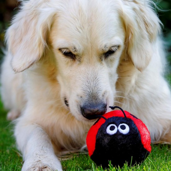 Petface Cody The Caterpillar Plush Dog Toy Petface Cody The Caterpillar Plush Dog Toy