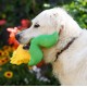 Petface Cody The Caterpillar Plush Dog Toy Petface Cody The Caterpillar Plush Dog Toy