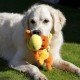 Petface Cody The Caterpillar Plush Dog Toy Petface Cody The Caterpillar Plush Dog Toy