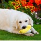 Petface Cody The Caterpillar Plush Dog Toy Petface Cody The Caterpillar Plush Dog Toy