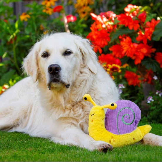 Petface Cody The Caterpillar Plush Dog Toy Petface Cody The Caterpillar Plush Dog Toy