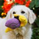 Petface Cody The Caterpillar Plush Dog Toy Petface Cody The Caterpillar Plush Dog Toy