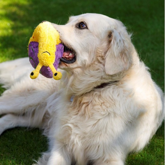 Petface Cody The Caterpillar Plush Dog Toy Petface Cody The Caterpillar Plush Dog Toy