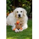 Petface Farmyard Buddies Chunky Chicken Dog Toy Petface Farmyard Buddies Chunky Chicken Dog Toy