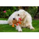 Petface Farmyard Buddies Chunky Chicken Dog Toy Petface Farmyard Buddies Chunky Chicken Dog Toy