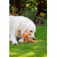 Petface Farmyard Buddies Chunky Chicken Dog Toy Petface Farmyard Buddies Chunky Chicken Dog Toy